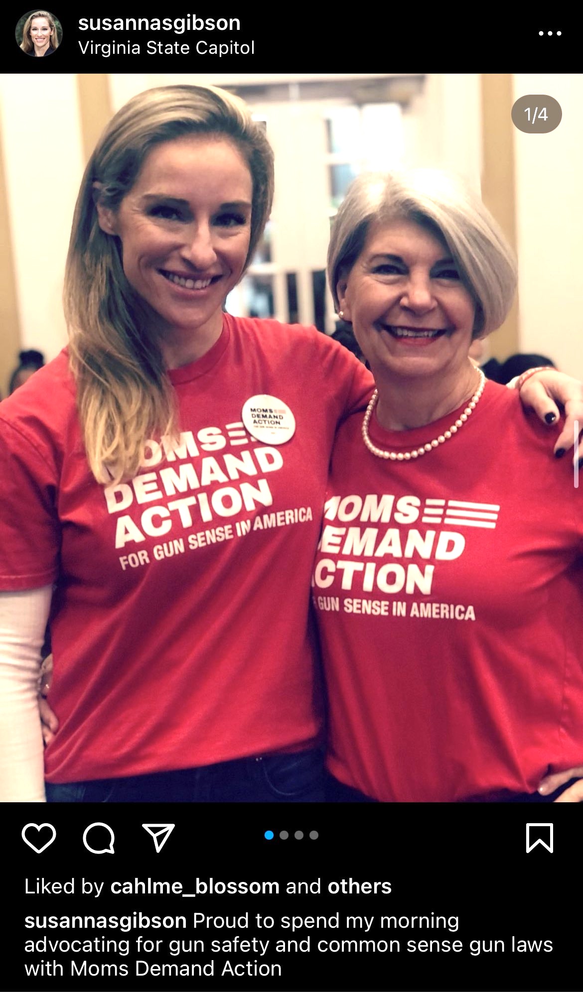 Susanna Gibson Moms Demand Action Virginia House of Delegates