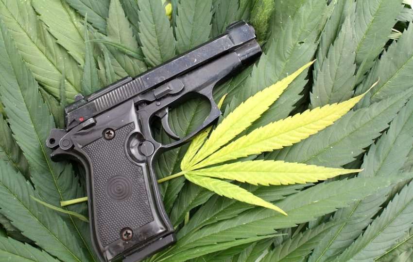 Pennsylvania District Attorney Suing To Allow Medical Marijuana Users Firearms Access